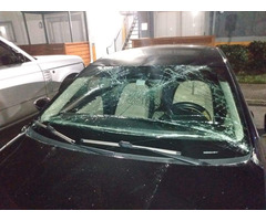 FREE WINDSHIELD REPLACEMENT